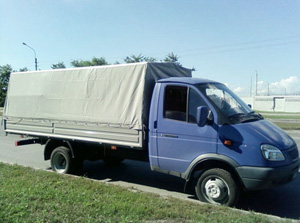 /images/Gazel_5.jpg
